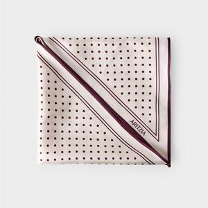 Aritzia Vitti Silk Scarf